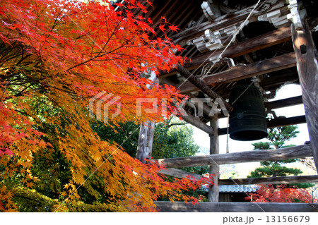光明寺　紅葉 13156679