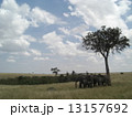 マサイマラ国立保護区 13157692