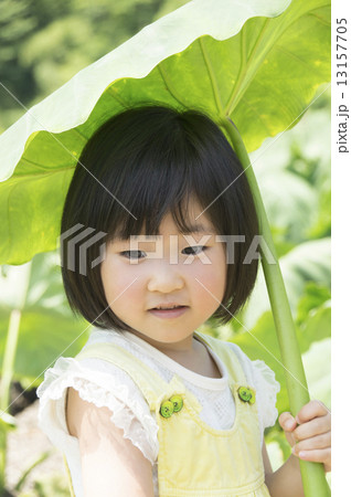 大きい傘 大きい傘 13157705