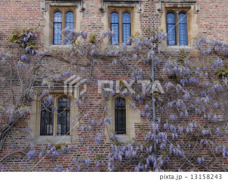 ケンブリッジ 13158243