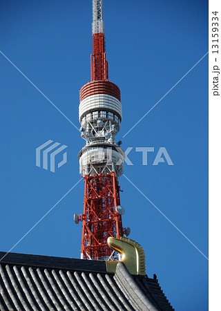 増上寺の屋根･東京タワー（東京都港区芝） 13159334
