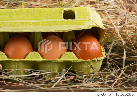 Eggs the delicious and nutritious product Eggs the delicious and nutritious product 13160299