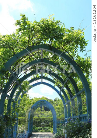 フラワーアーチ フラワーアーチ 13161204