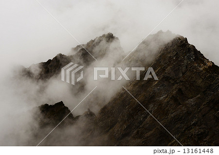 長谷川ピーク 13161448