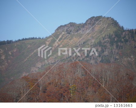 尾瀬ヶ原より景鶴山 尾瀬ヶ原より景鶴山 13161663