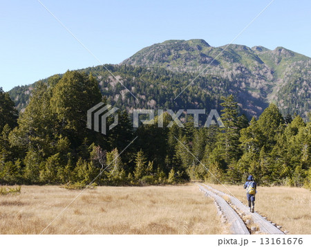 尾瀬大清水平 13161676