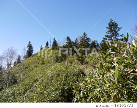 白尾山 白尾山 13161772
