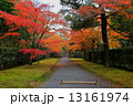 御幸道 13161974