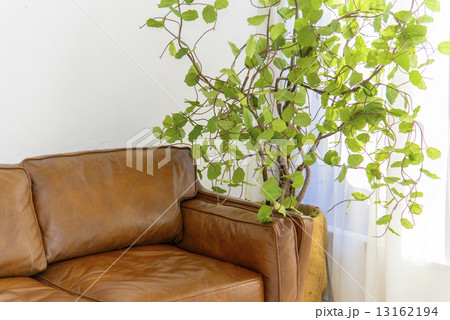 リビングルーム 13162194