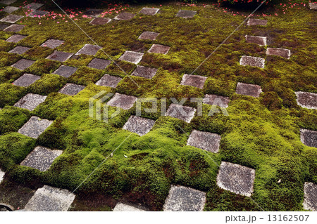 6月初夏 東福寺方丈の北庭 京都の庭園美 の写真素材