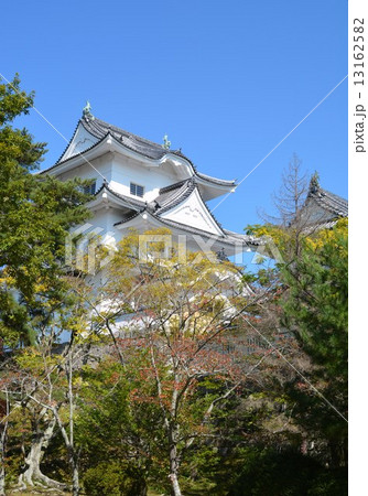 初秋の伊賀上野城 13162582