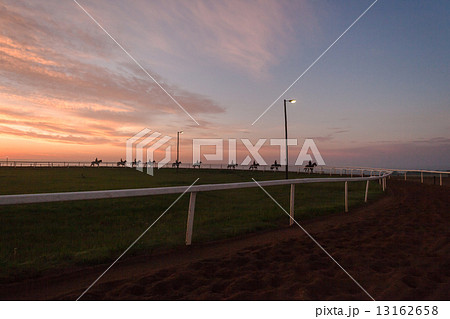 Horses Riders Silhouetted Dawn Horses Riders Silhouetted Dawn 13162658