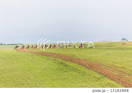 Race Horses Riders Landscape Race Horses Riders Landscape 13162668