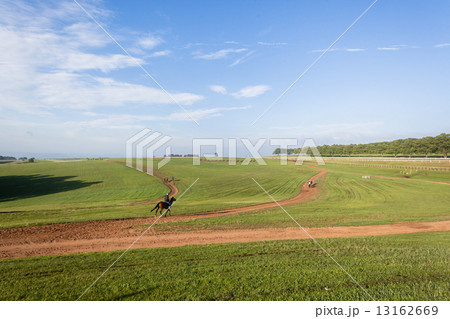 Race Horse Jockey Training Landscape Race Horse Jockey Training Landscape 13162669