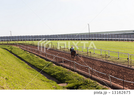 Race Horses Training Race Horses Training 13162675