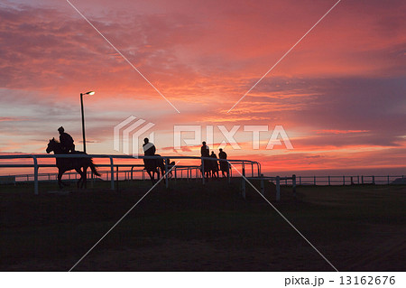 Race Horses Training Track Riders Silhoutted Sunrise Race Horses Training Track Riders Silhoutted Sunrise 13162676