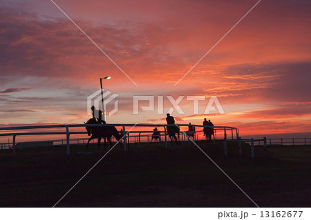 Race Horses Training Track Riders Silhoutted Sunrise Race Horses Training Track Riders Silhoutted Sunrise 13162677