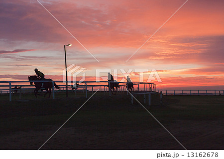 Race Horses Training Track Riders Silhoutted Sunrise Race Horses Training Track Riders Silhoutted Sunrise 13162678