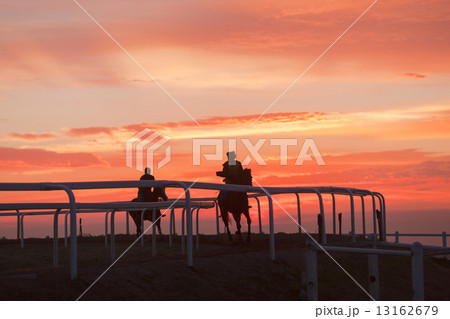 Race Horses Training Track Riders Silhoutted Sunrise Race Horses Training Track Riders Silhoutted Sunrise 13162679