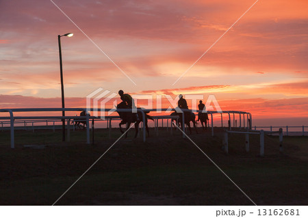 Race Horses Training Track Riders Silhoutted Sunrise Race Horses Training Track Riders Silhoutted Sunrise 13162681