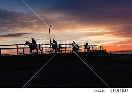 Race Horses Training Track Riders Silhoutted Sunrise Race Horses Training Track Riders Silhoutted Sunrise 13162685