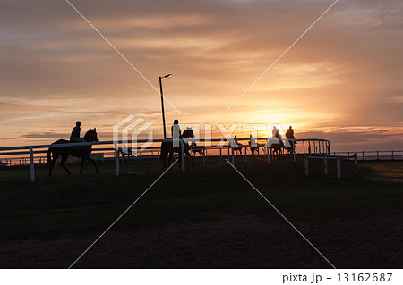 Race Horses Training Track Riders Silhoutted Sunrise Race Horses Training Track Riders Silhoutted Sunrise 13162687