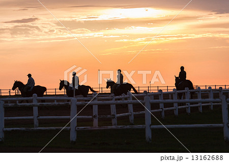 Race Horses Training Track Riders Silhoutted Sunrise Race Horses Training Track Riders Silhoutted Sunrise 13162688