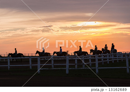 Race Horses Training Track Riders Silhoutted Sunrise Race Horses Training Track Riders Silhoutted Sunrise 13162689