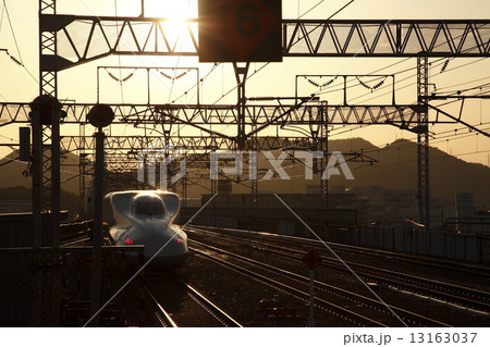 夕日に染まる新幹線 夕日に染まる新幹線 13163037
