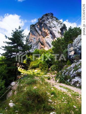Single rock at mountain 13164526