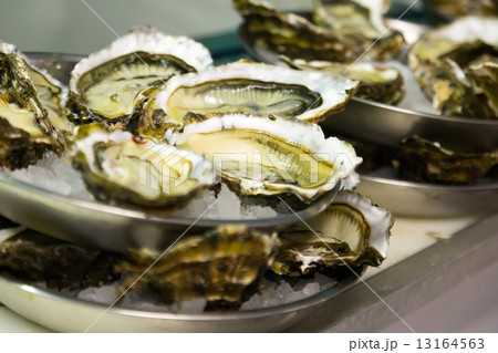 Oysters on plates Oysters on plates 13164563