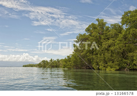 Siladen turquoise tropical paradise island 13166578