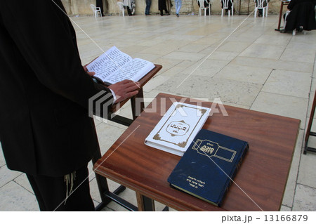 嘆きの壁 13166879