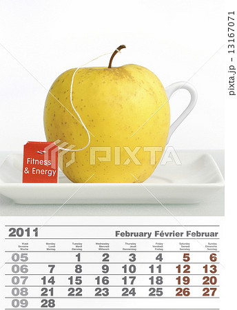 2011 february calendar 13167071