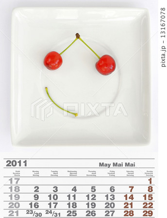 2011 may calendar 13167078