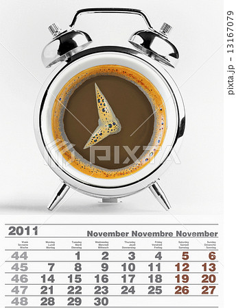 2011 november calendar 13167079