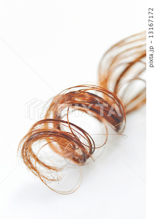 curly hair closeup 13167172