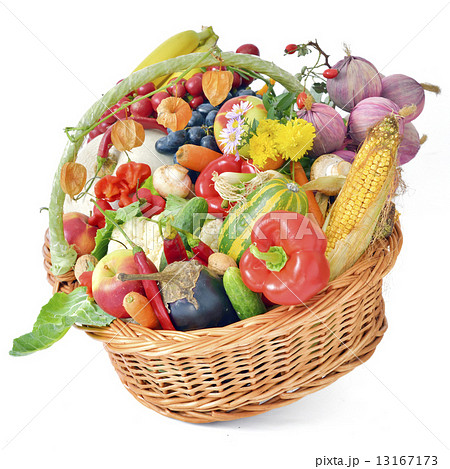 harvest basket harvest basket 13167173