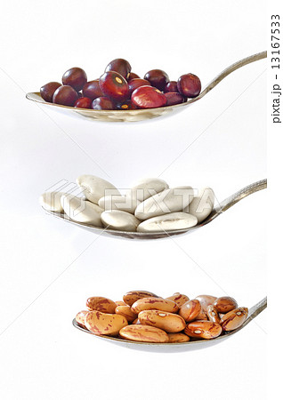 different type of beans 13167533