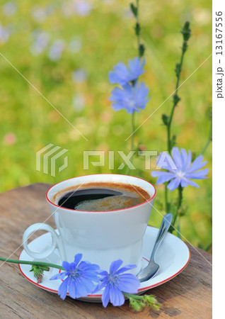 Chicory hot drink 13167556