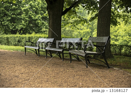 Stylish bench in autumn park Stylish bench in autumn park 13168127