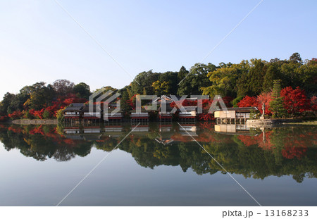 長岡天満宮 八条ヶ池 長岡天満宮 八条ヶ池 13168233