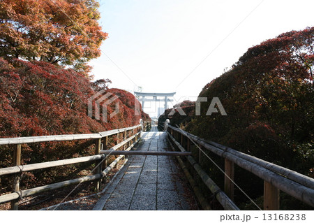 長岡天満宮　鳥居　中堤 13168238