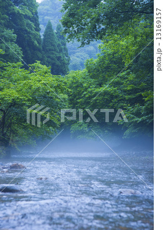 川 川 13169157