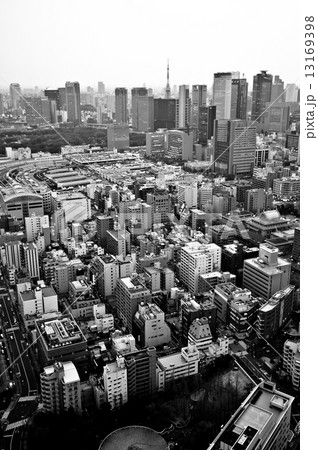 東京・築地(聖路加ガーデン展望台から) 東京・築地(聖路加ガーデン展望台から) 13169398