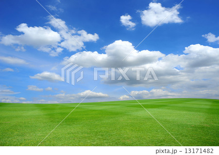 Grass field Grass field 13171482