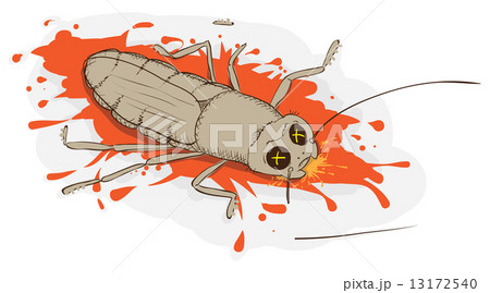 Squashed cockroach Squashed cockroach 13172540