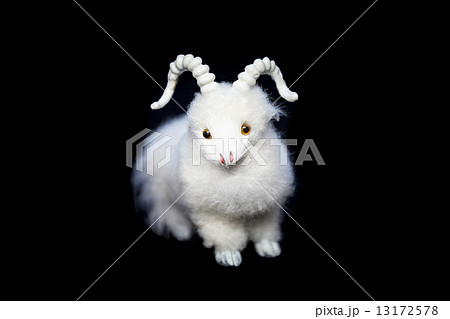 Goat or sheep the symbol 2015 year 13172578