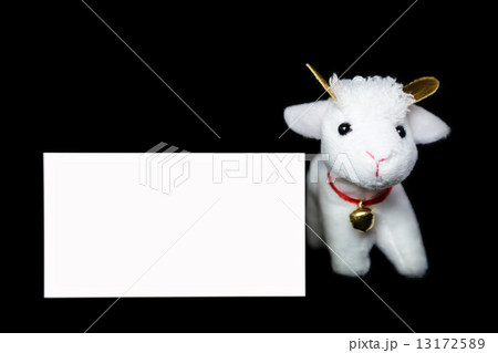 Goat or sheep with blank greeting card 13172589