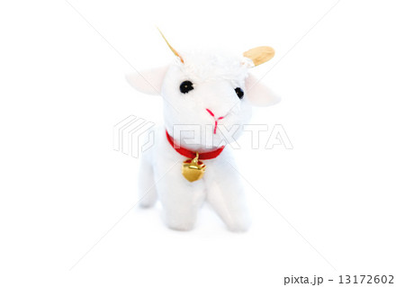 Goat or sheep the symbol 2015 year 13172602